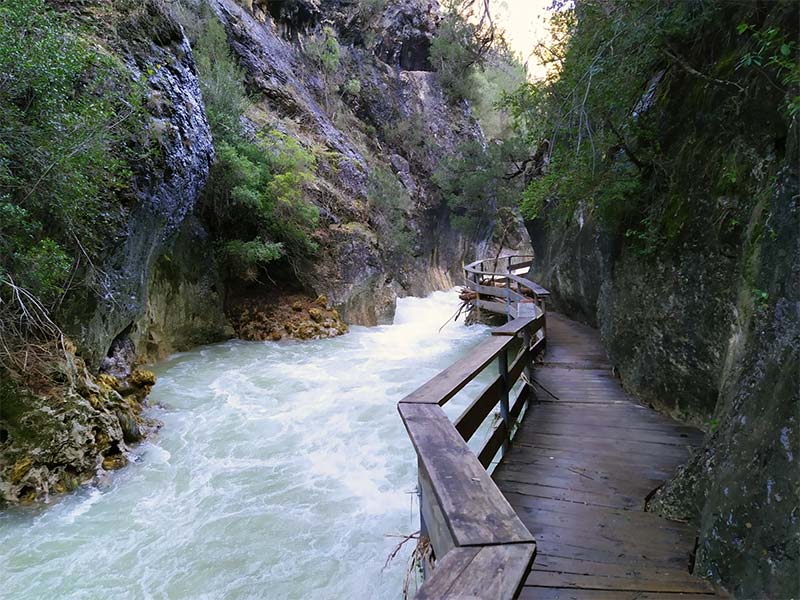 Parque Natural Sierras de Cazorla, Segura y Las Villas - Rio Borosa Parque Natural Sierras de Cazorla, Segura y Las Villas - Rio Borosa