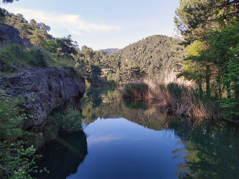galeriasierracazorla-img7-800x600 Parque Natural Sierras de Cazorla, Segura y Las Villas