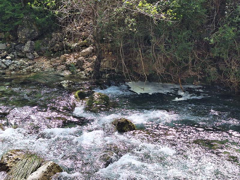 Qué hacer en Cazorla - Parque Natural Sierras de Cazorla Segura y Las Villas - Cazorla Sauna y Spa